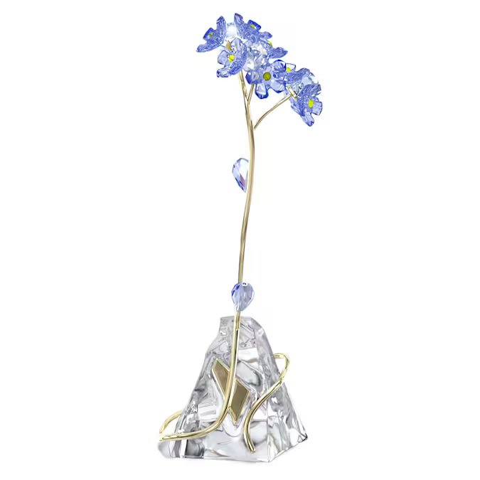 Florere Forget-me-not